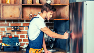 double door refrigerator service