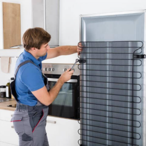 single door refrigerator service