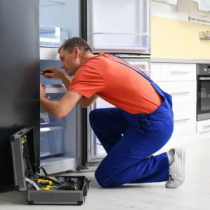 Single door refrigerator repair