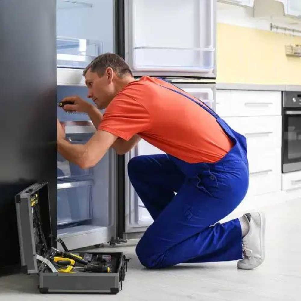Single door refrigerator repair